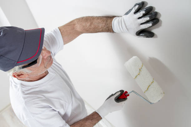 Best Industrial Mold Remediation  in Smithton, IL