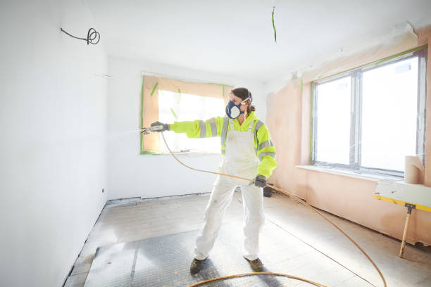 Smithton, IL Mold Removal Company